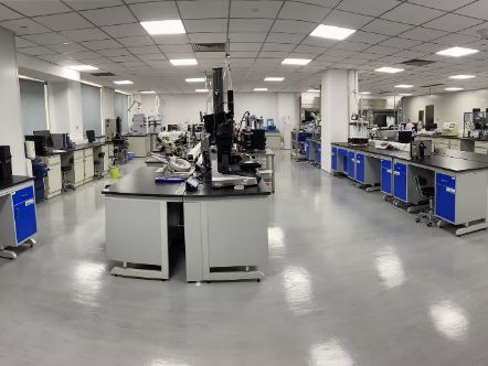 泰达龙头企业产品顺利通过FDA现场检查，即将进军美国市场