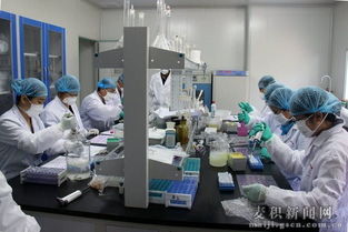 天水市举办县级兽医实验室检测技术培训班，提升技术服务能力