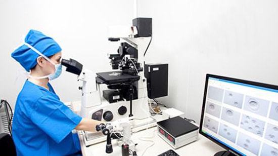 男性少精弱精患者试管怀孕成功率揭秘 100%的方法真的存在吗？